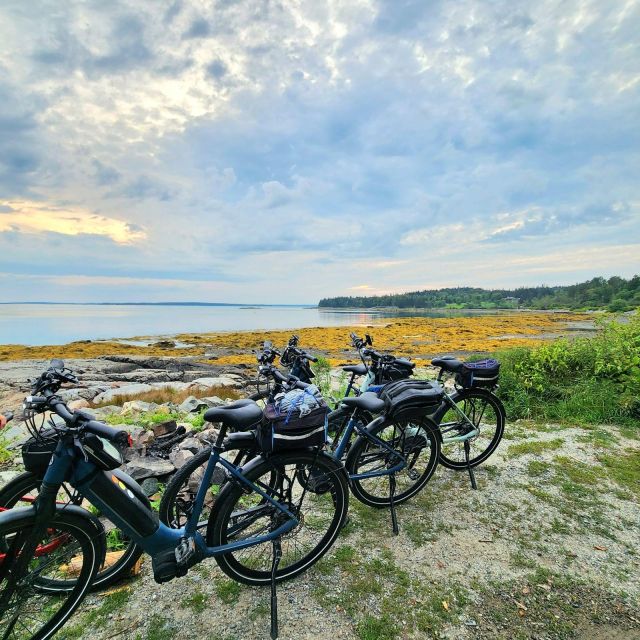 Bar Harbor: Acadia National Park Carriage Roads Ebike Tour - Why the Carriage Roads are the right setting for an e-bike