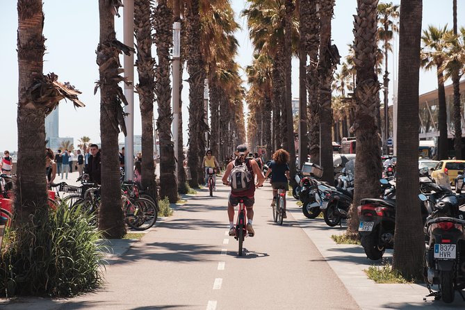 Barcelona 3-hour Bike or E-Bike Tour: Highlights and Hidden Gems - Modernisme beyond Gaudí at the Palace of Catalan Music
