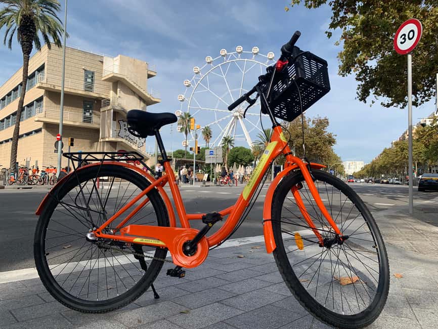 Barcelona Bike Tour: Iconic Sights & Hidden Spots - The Design Museum and Torre Glòries