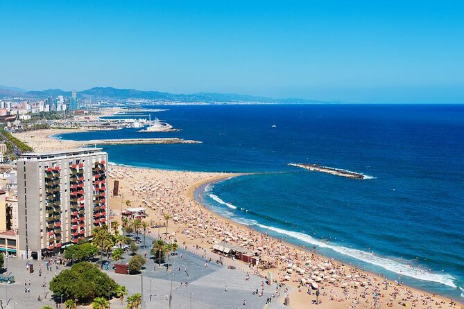 Barcelona eBike Beach Private Tour to Vineyards & Picnic - The essential details at a glance