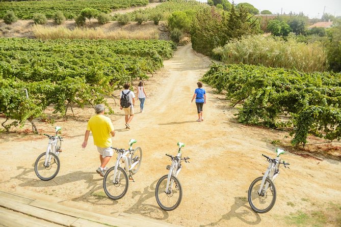 Barcelona eBike Beach Private Tour to Vineyards & Picnic - What lunch really means here