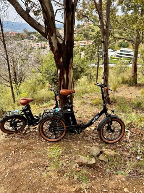 Barcelona: Explore the City with Eco-Friendly E-Bike Rentals - Gaudí sights and the route to Park Güell