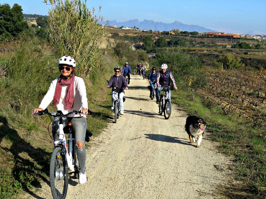 Barcelona: Guided Half-Day Wine and Electric Bike Tour - Why Penedès is worth leaving Barcelona for
