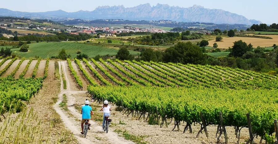 Barcelona: Guided Half-Day Wine and Electric Bike Tour - Meeting at Lavern-Subirats at 10:00