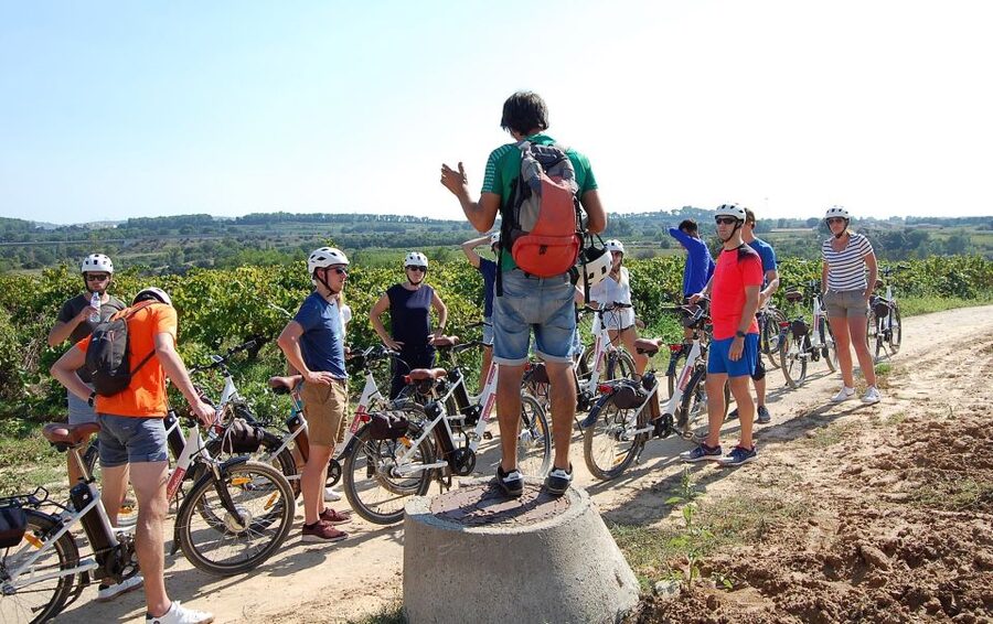 Barcelona: Guided Half-Day Wine and Electric Bike Tour - Riding through vineyards, woods, and country roads
