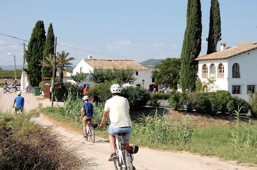 Barcelona: Guided Half-Day Wine and Electric Bike Tour - Three glasses of local wine and cava
