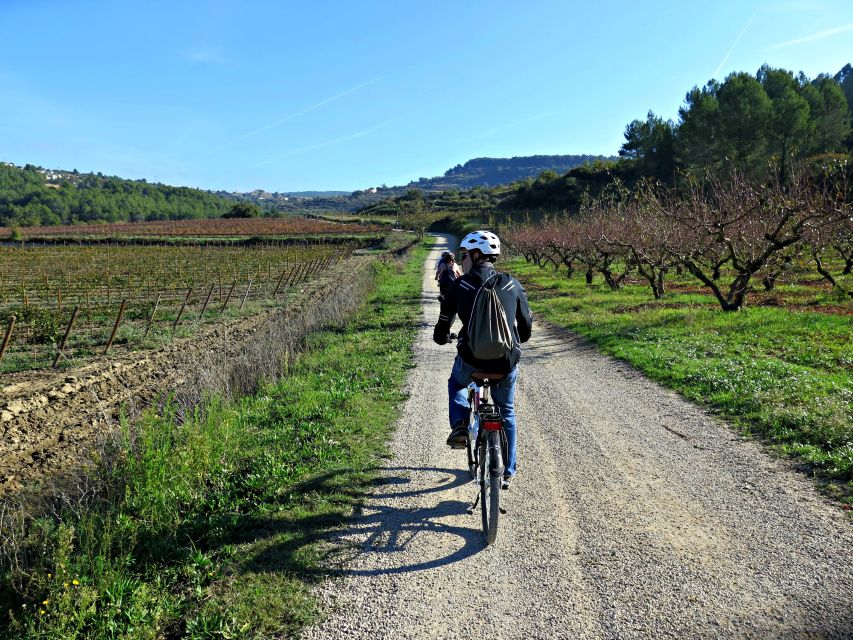 Barcelona: Guided Half-Day Wine and Electric Bike Tour - How the $101 price measures up
