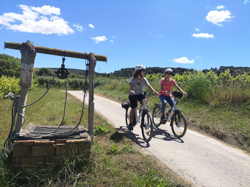 Barcelona: Guided Half-Day Wine and Electric Bike Tour - The schedule, return, and optional extra riding