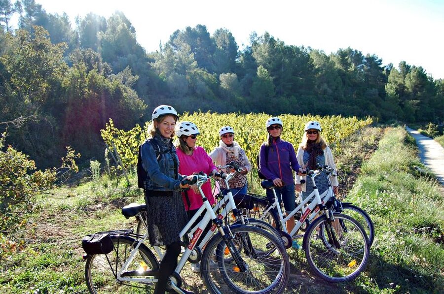 Barcelona: Guided Half-Day Wine and Electric Bike Tour - Who will enjoy this tour most