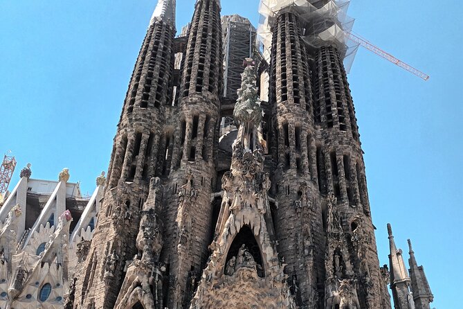 Barcelona Highlights Bike Tour - Starting in the Gothic Quarter at Plaça de la Mercè