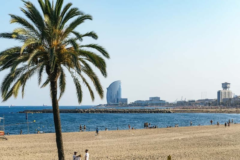 Barcelona: Sagrada Familia or City Tour by Bike or eBike - Port Olímpic and Barcelona’s seafront