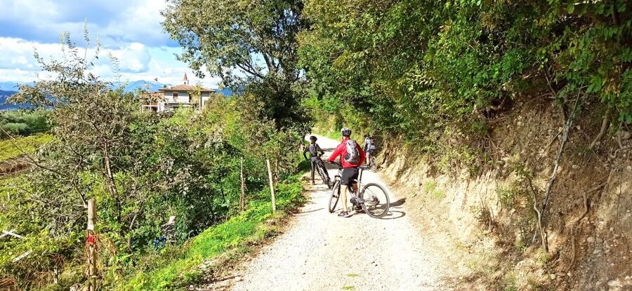 Bardolino: e-bike tour and wine tasting on the hills - What the Bardolino ride is really like