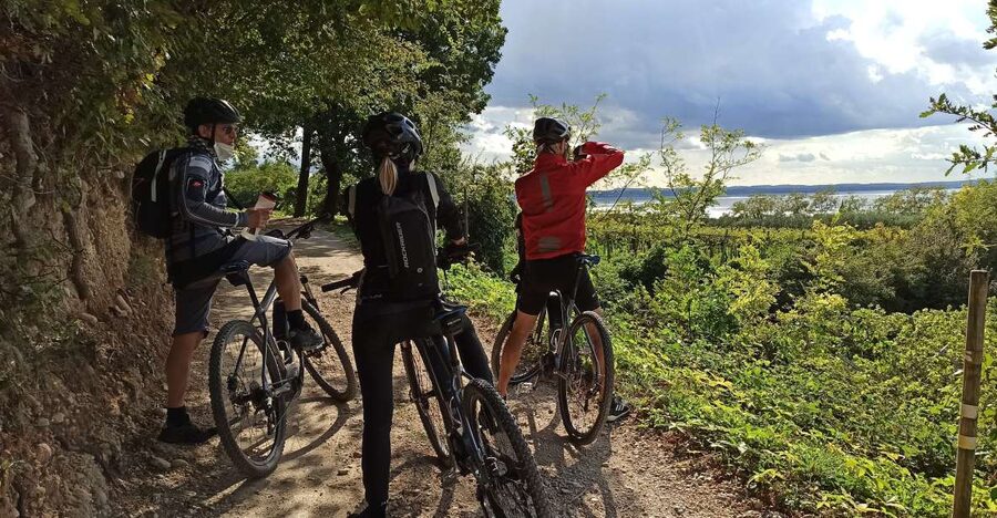 Bardolino: e-bike tour and wine tasting on the hills - Through vineyards and olive groves behind Bardolino