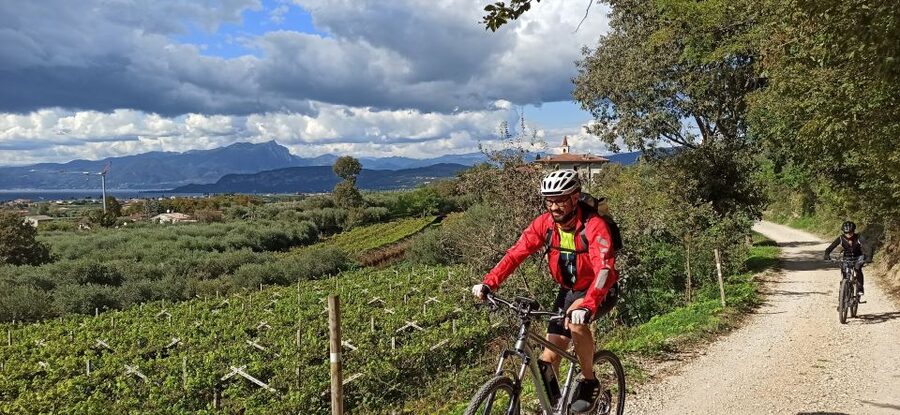 Bardolino: e-bike tour and wine tasting on the hills - Who should book this Bardolino experience?