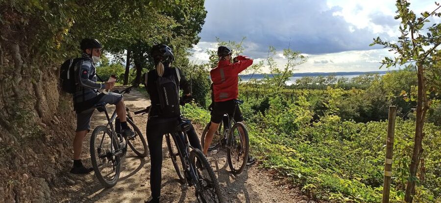 Bardolino: e-bike tour and wine tasting on the hills - Starting at Cantina Valetti in Bardolino