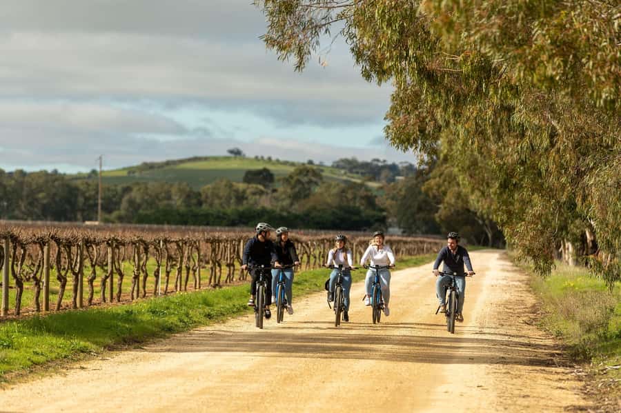 Barossa Valley: Gourmet Food and Wine E-Bike Tour - Key Details Before You Book