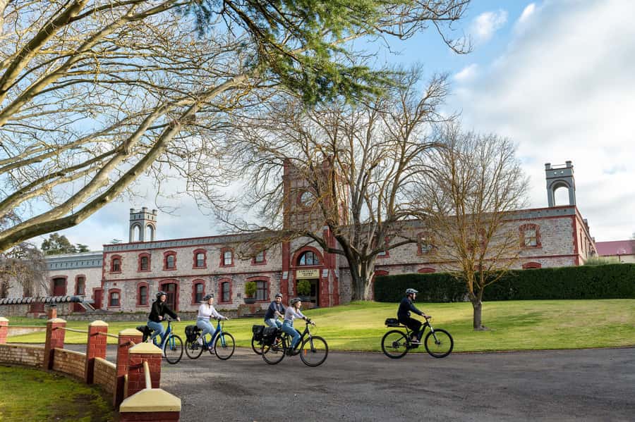 Barossa Valley: Gourmet Food and Wine E-Bike Tour - Starting at Yalumba in the Morning