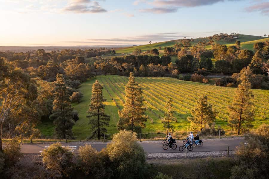 Barossa Valley: Gourmet Food and Wine E-Bike Tour - Six Wines at Artisans of the Barossa