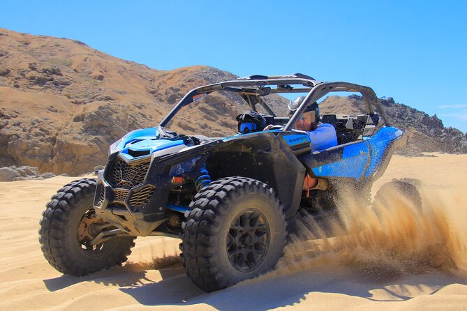 Beach Camel Ride and Sky Bike in Cabo - Who will enjoy this most