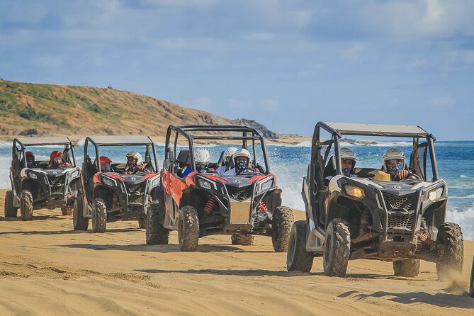 Beach UTV and Sky Bike Combo in Cabo - Sky Bikes, the ecological walk, and the pace of the second hour