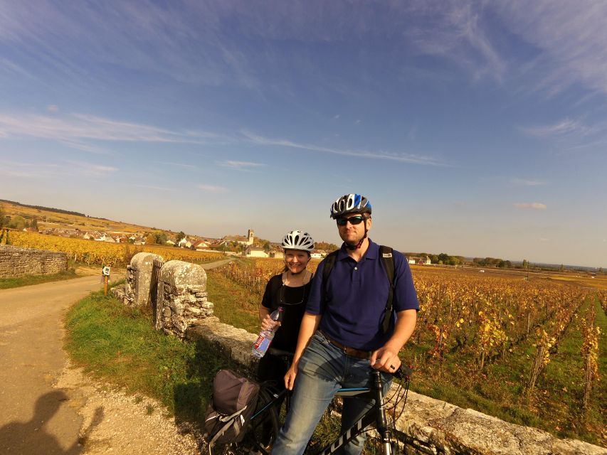 Beaune: Winery Tour by Bike with Wine Tasting - Rolling through Pommard’s famous vineyards