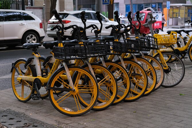 Beijing Highlights-Private Beijing Bike Tour - How safe and demanding is the 15-kilometer ride?