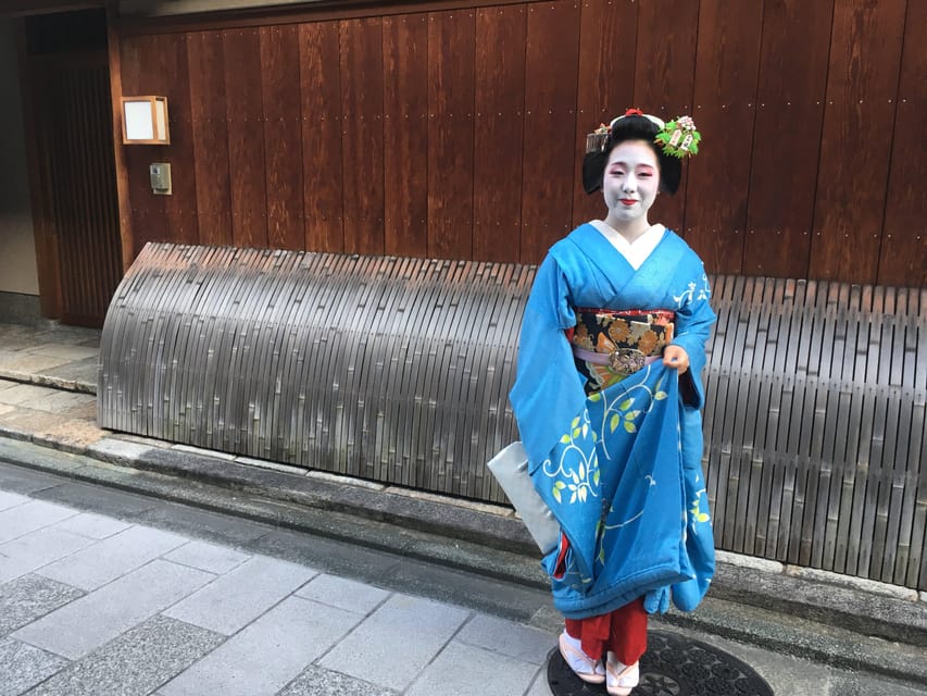 Best of Kyoto: Ginkakuji & Path of Philosophy E-Bike Tour - Weather, comfort, and practical limits