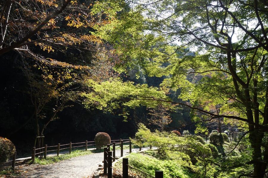 Best of Kyoto: Ginkakuji & Path of Philosophy E-Bike Tour - Ginkakuji: quiet beauty instead of silver spectacle