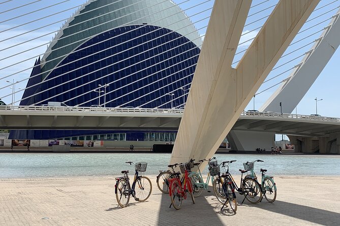 Bicycle Rental in Valencia - Why Turia Park is the natural first ride