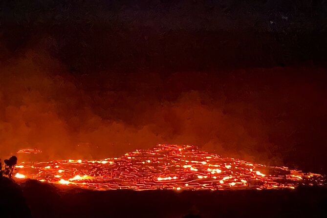 Big Island: Fat Tire E-Bike Tour through Volcanoes National Park - Forest Paths, Flowers, and the Lava Tube