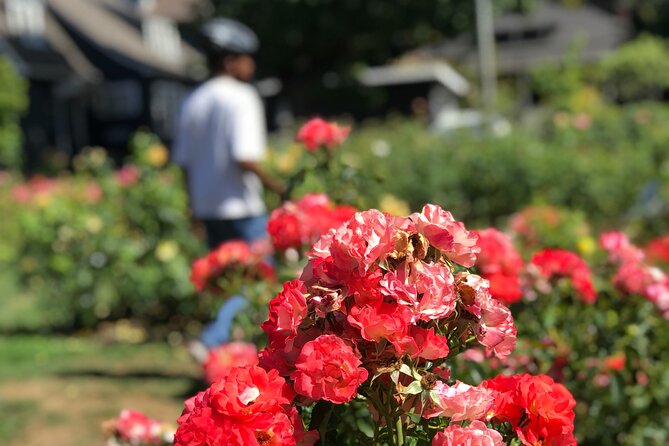 Bike Around Portland Oregon: Art, Culture, Bridges, Poetry - South Waterfront Greenway and Poet’s Beach
