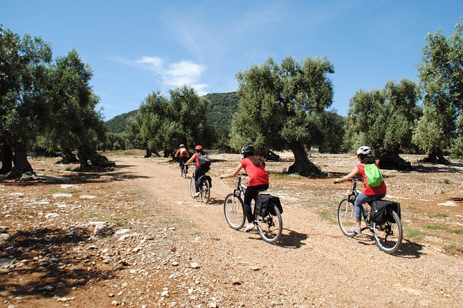 Bike oil tour in Monopoli - Why this Monopoli bike tour feels different