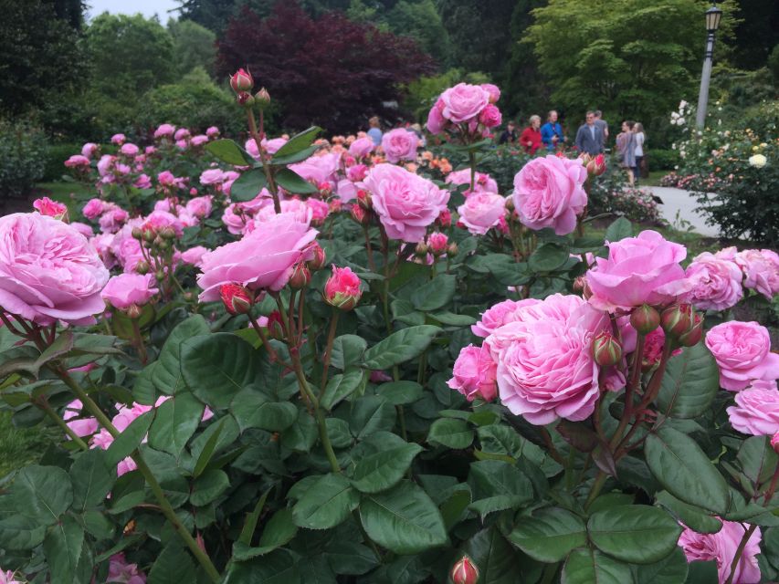 Bike Portland: Bridges, Neighborhoods, Poetry, and Roses - Ladd’s Addition sets the tone
