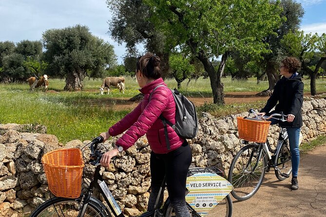 Bike Rental in Bari - Safety, comfort, and the real riding conditions