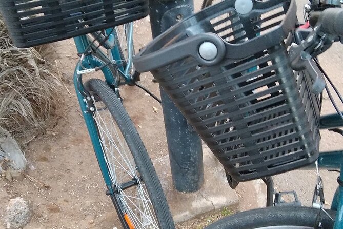 Bike Rental Tenerife - What a Typical Rental Day Looks Like