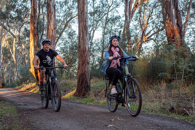 Bike to Winery Tour - Who should book this ride?