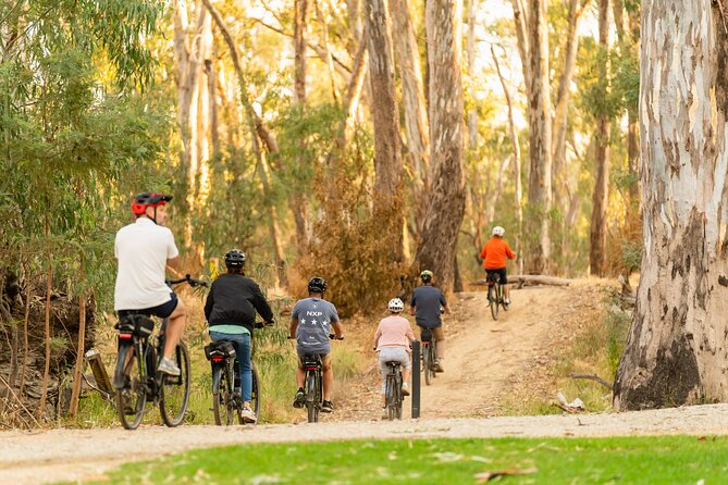 Bike to Winery Tour - Moama Beach and the Echuca Wharf views