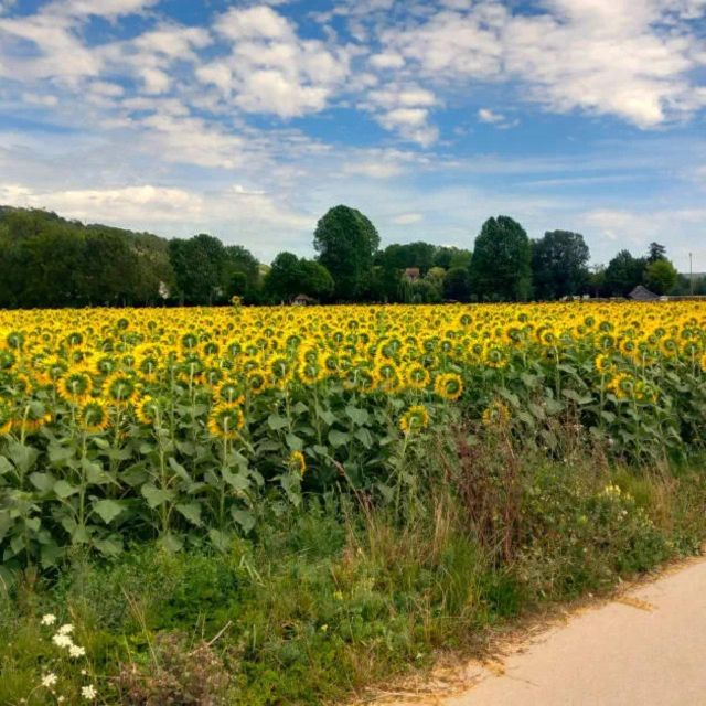 Bike tour from Vernon to Giverny with local guide - What the strongest praise tells you