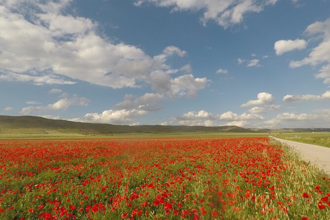 Bike Tour in the Alta Murgia National Park (Pulo of Altamura) - Why this ride is different from a city bike tour