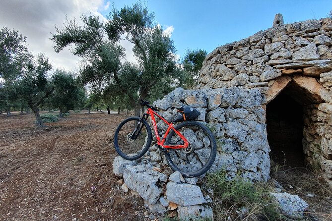 Bike Tour in the Alta Murgia National Park (Pulo of Altamura) - Filippo’s role in the experience