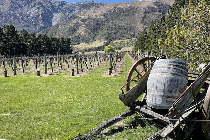 Bike & Wine Tour: Arrowtown to Valley of the Vines - Key points at a glance