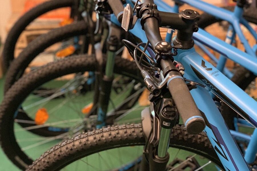 Bled: Mountain Bike Rental - Why This Rental Works Well in Bled