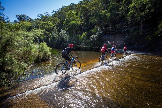 Blue Labyrinth PRIVATE Tour: Sydney Blue Mountains by E-Bike - Nepean River views and the forest ride