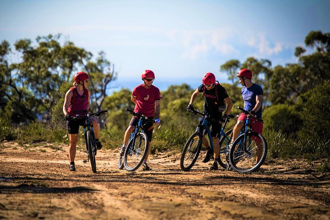 Blue Labyrinth PRIVATE Tour: Sydney Blue Mountains by E-Bike - Setting up on an electric mountain bike