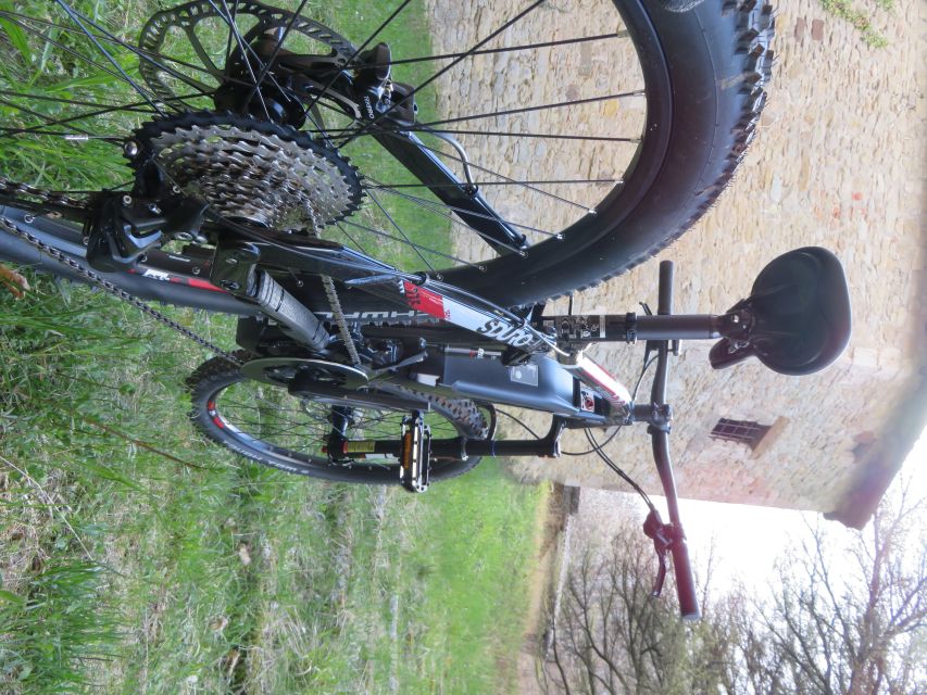 Bologna: E-Bike Guided Tour with Aperitivo - Practical details before you reserve