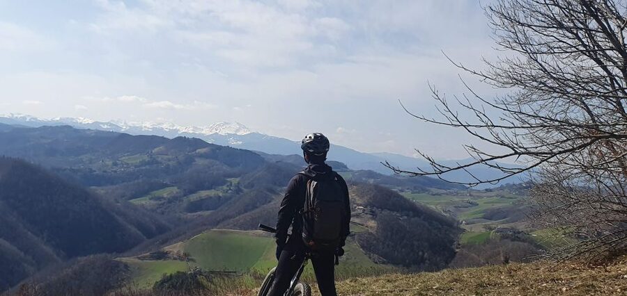 Bologna: E-Bike Guided Tour with Aperitivo - Aperitivo with wine, ham, cheese, and local treats