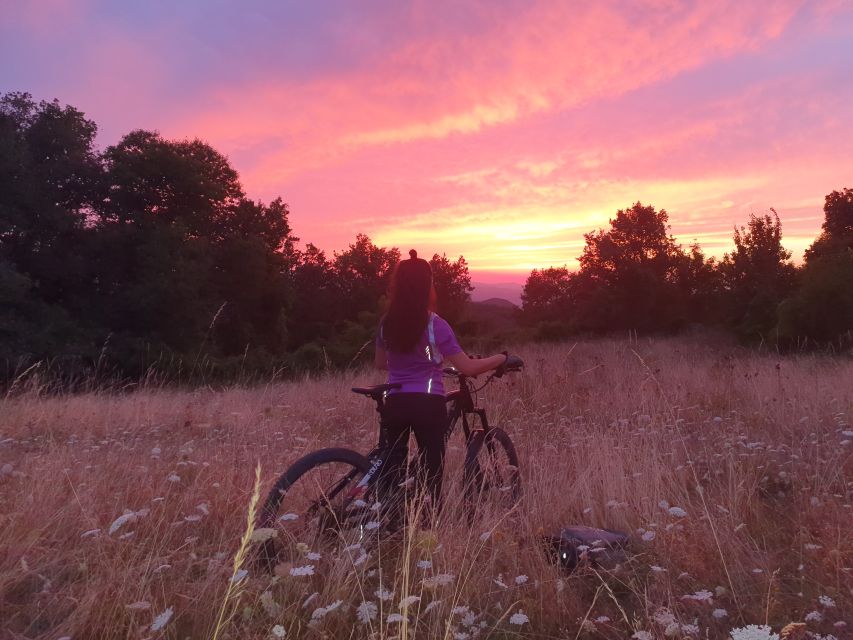 Bologna: E-Bike Guided Tour with Aperitivo - Is $152.93 a fair price?