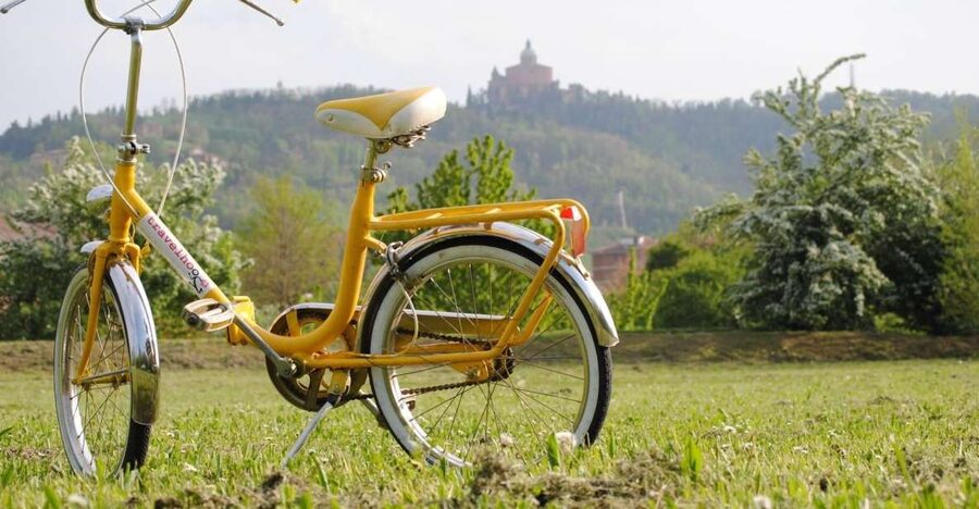 Bologna: Panoramic Bike Tour - The Archiginnasio and Bologna’s University Quarter