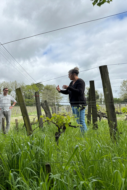 Bordeaux Backcountry E-Bike Tour with Lunch & Wine Tasting - A family vineyard and five wine samples
