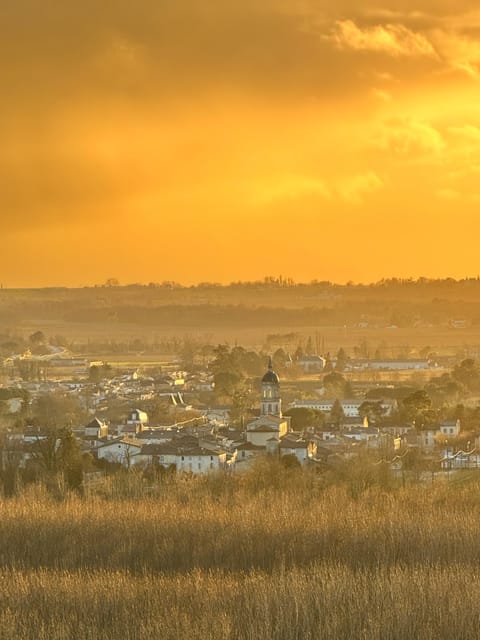 Bordeaux Backcountry E-Bike Tour with Lunch & Wine Tasting - The return ride and the day’s real rhythm